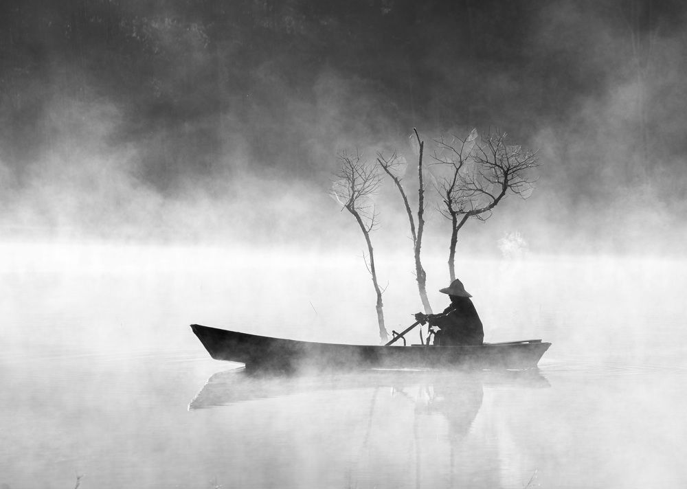 Photograph by nguyễn minh