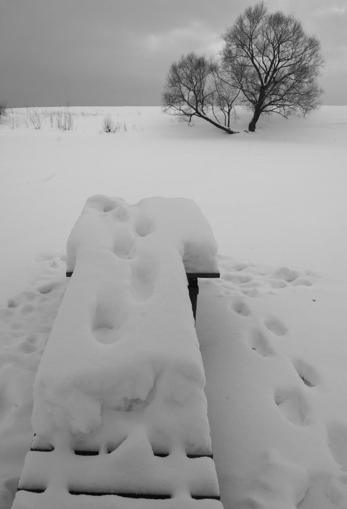 Photograph by Екатерина Екатерина