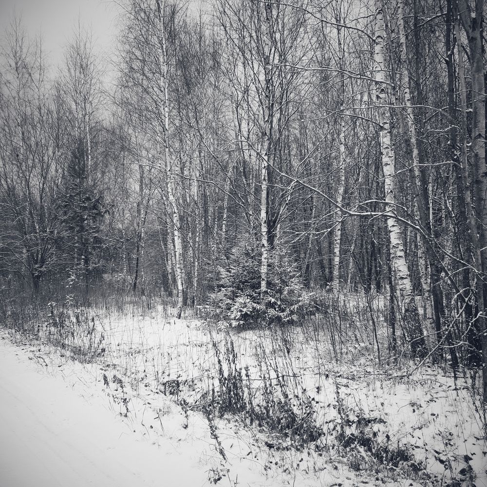Photograph by Анна Печникова