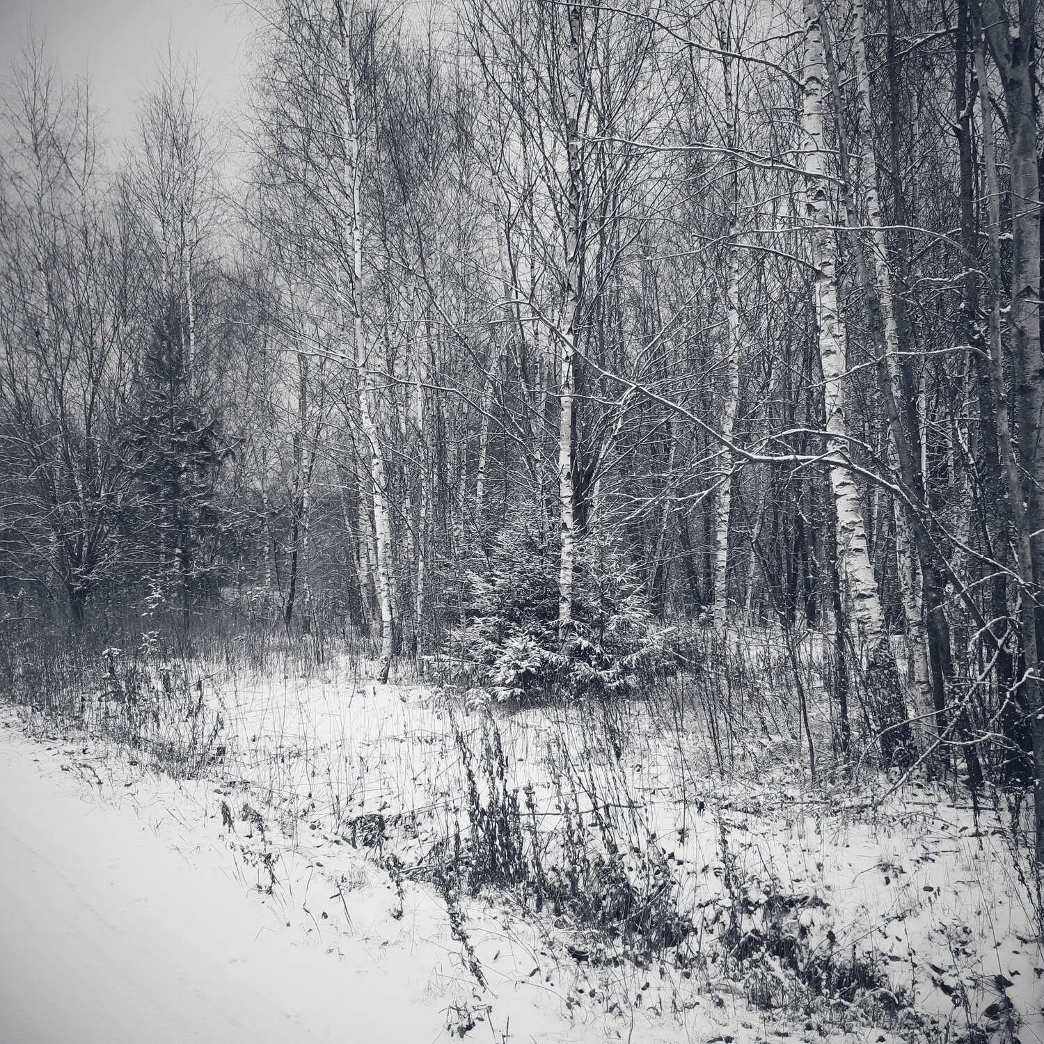 Photo #8538939