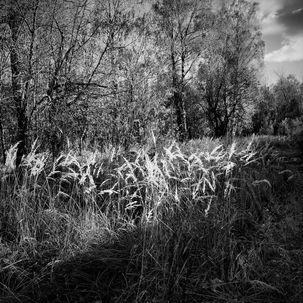 Photograph by Анна Печникова