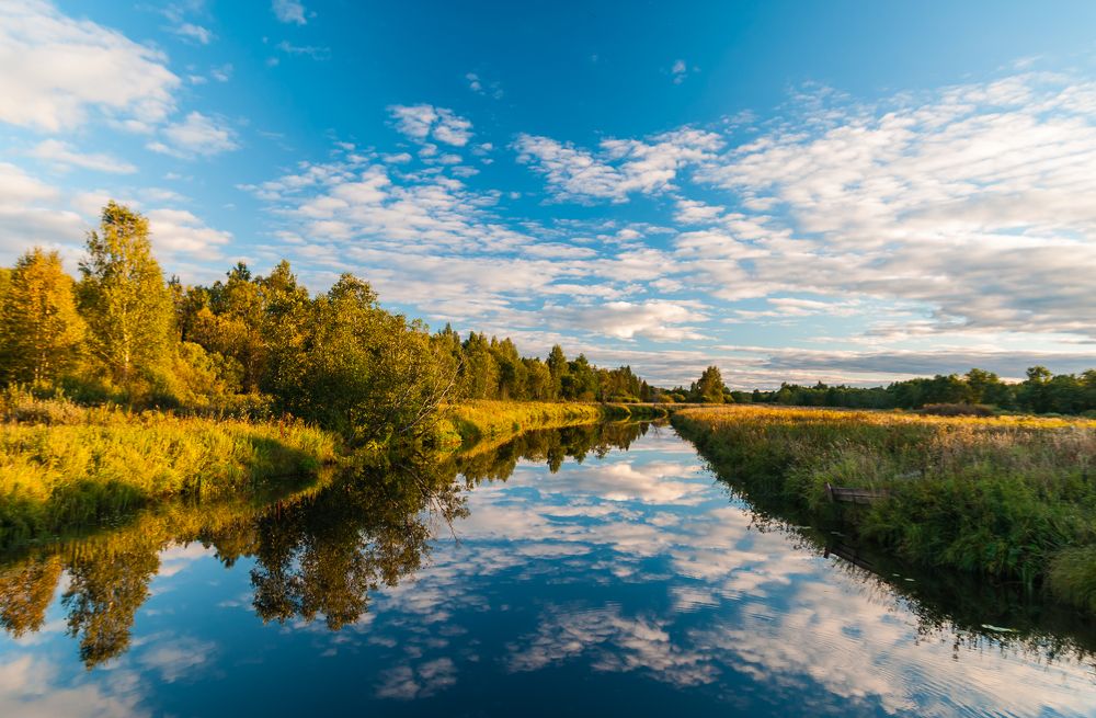 Фотография автора Олег Анатольевич Загорулько