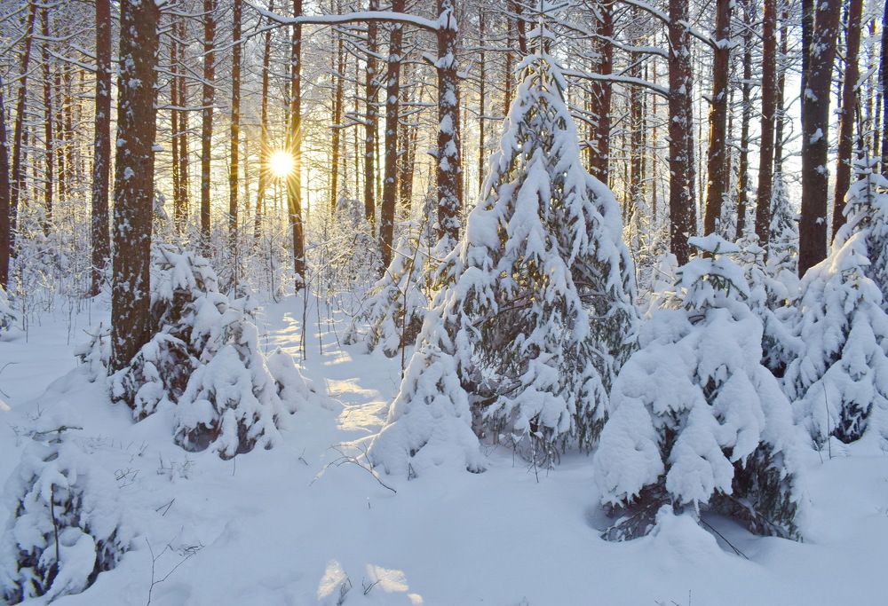 После снегопада.
