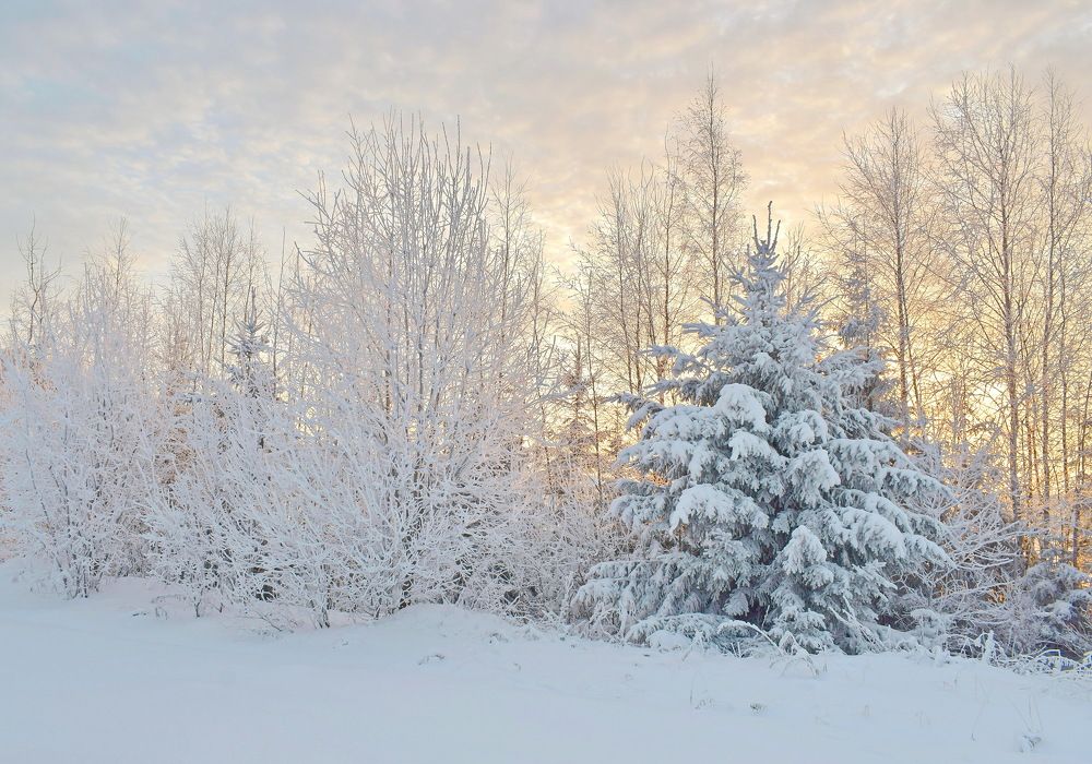Морозный рассвет.