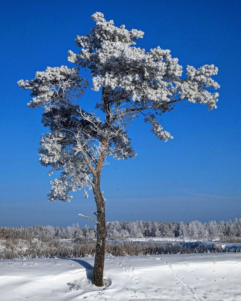 Photograph by Анатолий Люкевич