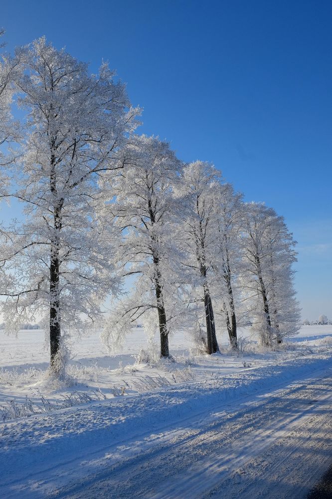 Photograph by Анатолий Люкевич
