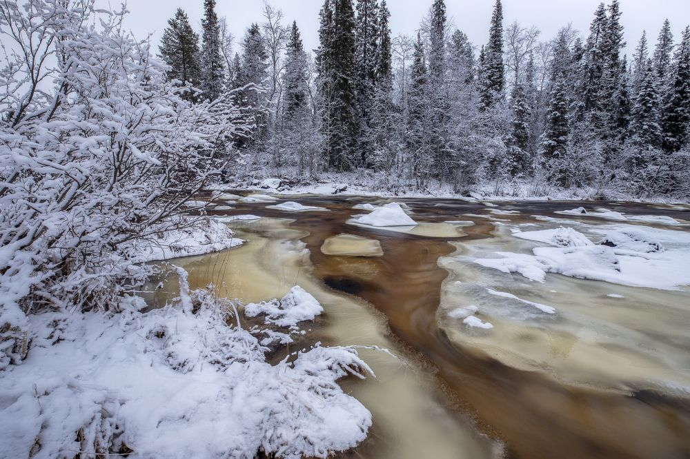 Photograph by Гусева Елена
