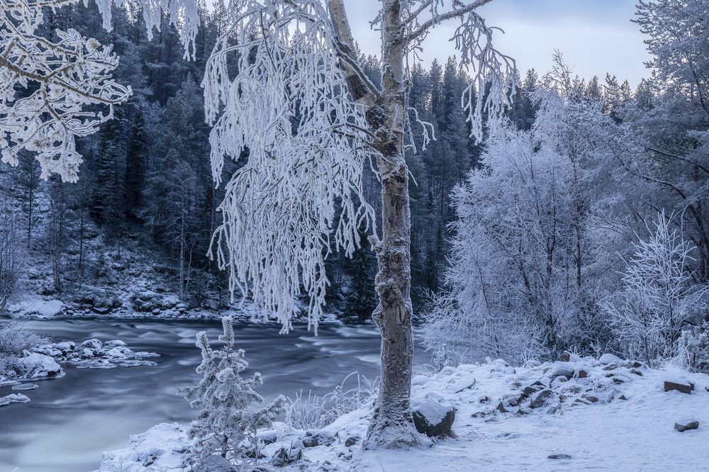 Photograph by Гусева Елена