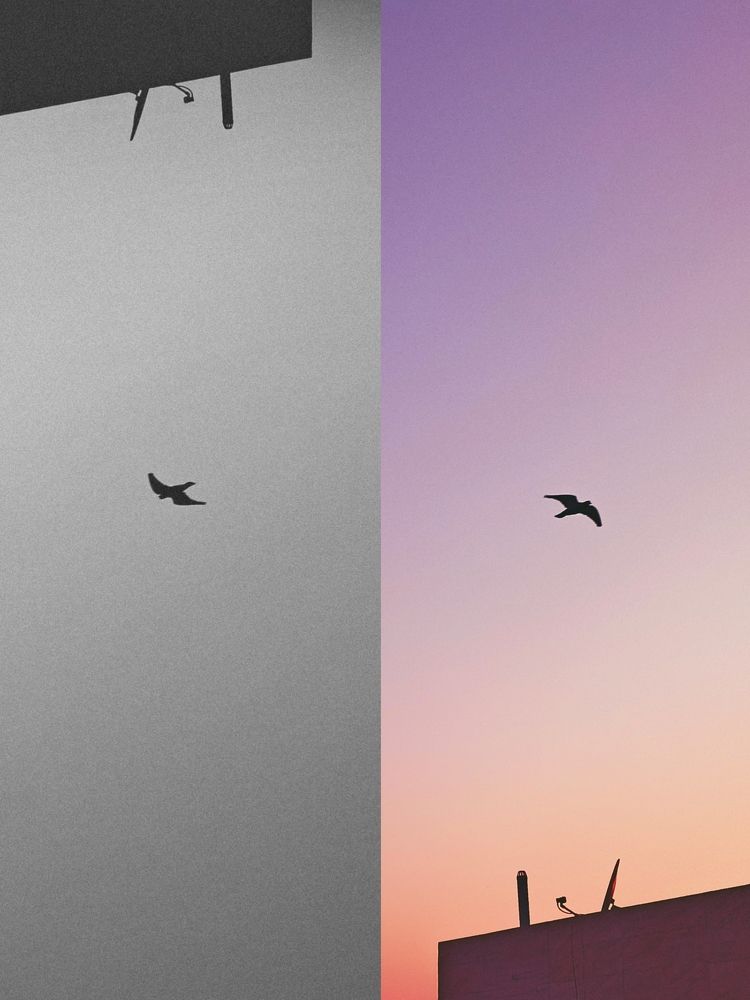 Photograph by Harshit Maurya