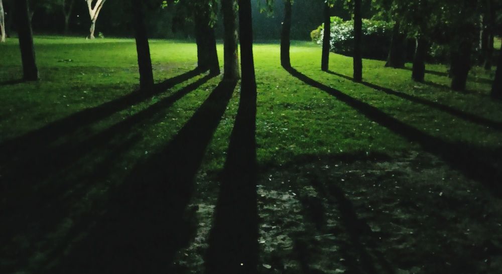 Photograph by Harshit Maurya