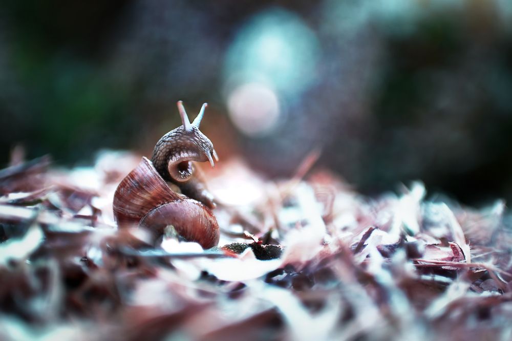 Photograph by Светлана