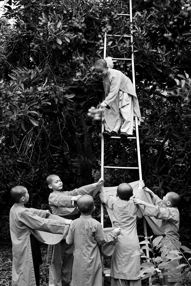 Chung một niềm vui