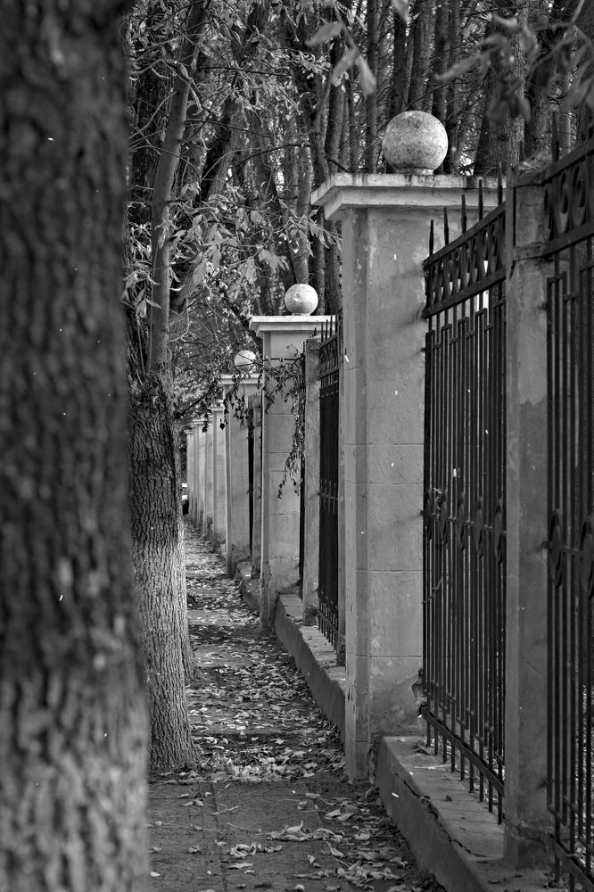 Photograph by Юрий Коротков