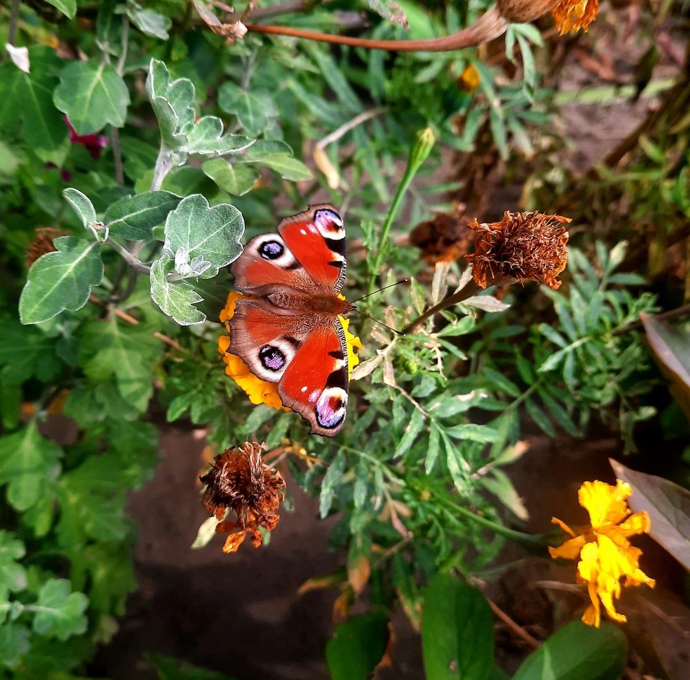 Photograph by Ирина Валерьевна Холодная