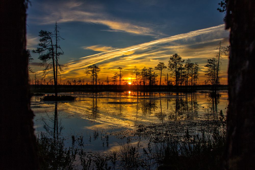 Photograph by Ильдар Сабиров