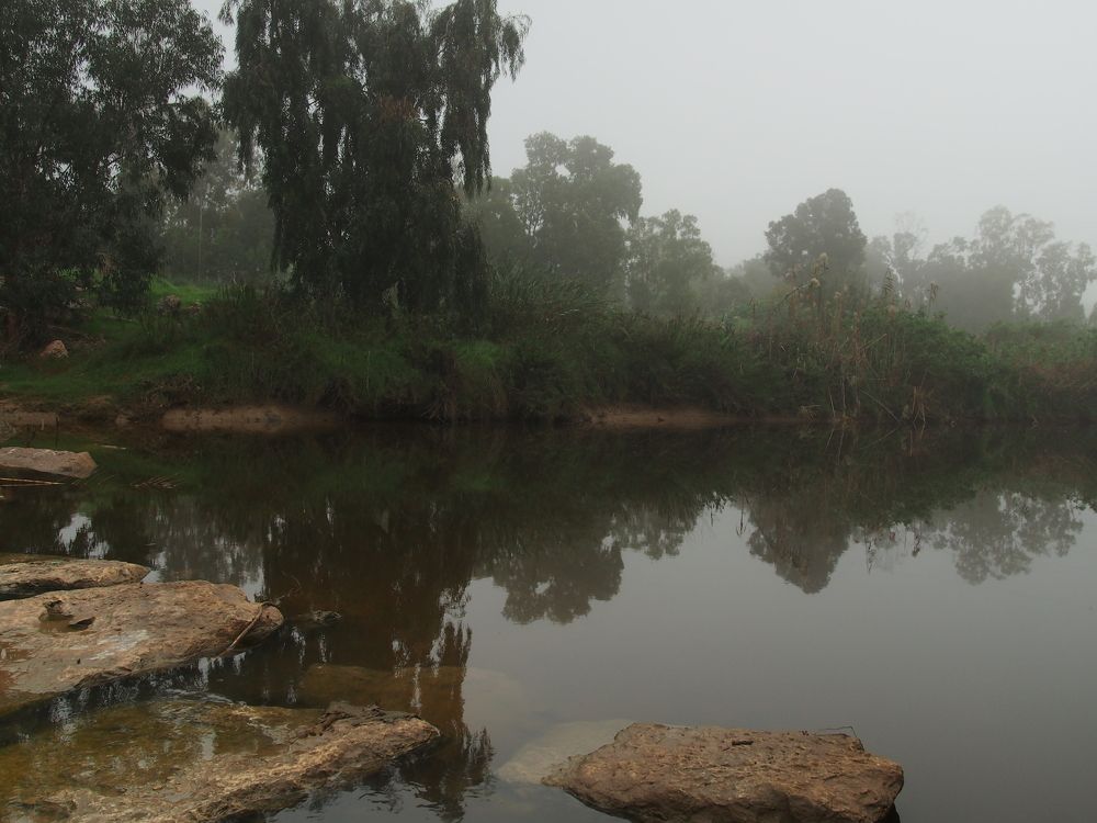 Photograph by Gotcha Biniashvili