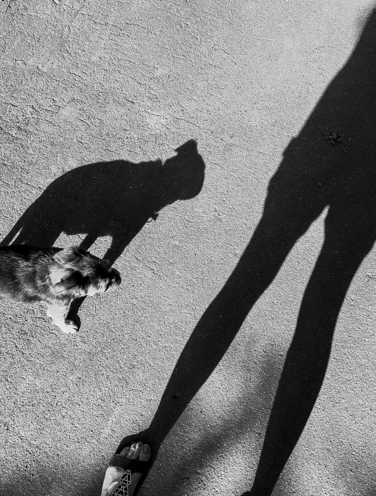 Photograph by Oxana Pet