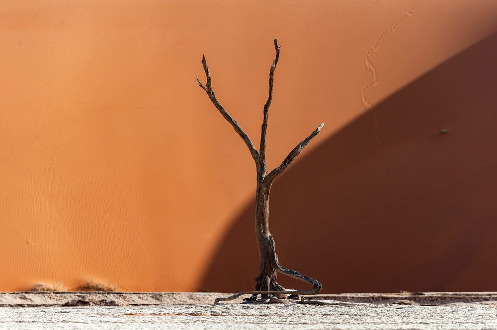 Photograph by Андрей Кулятин