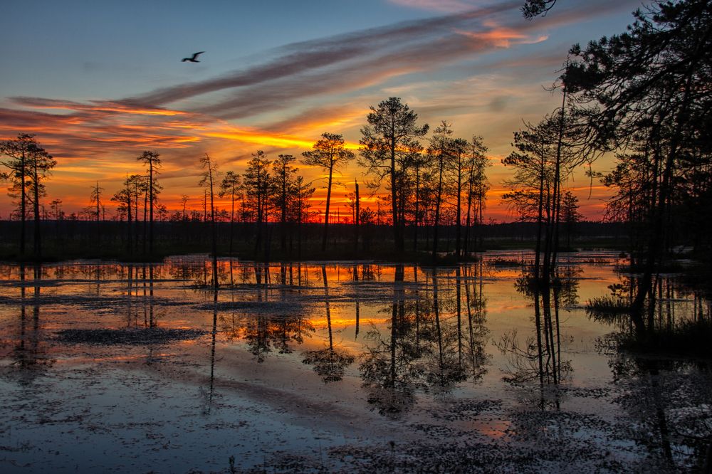 Photograph by Ильдар Сабиров