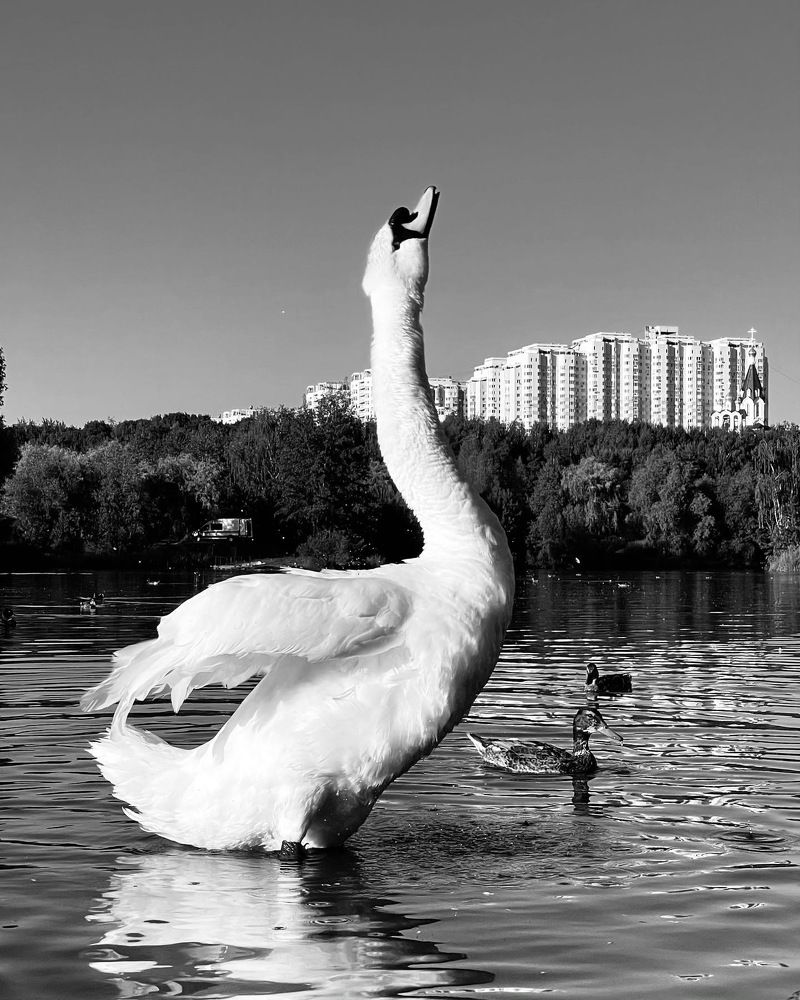 Photograph by Анастасия Каланакова