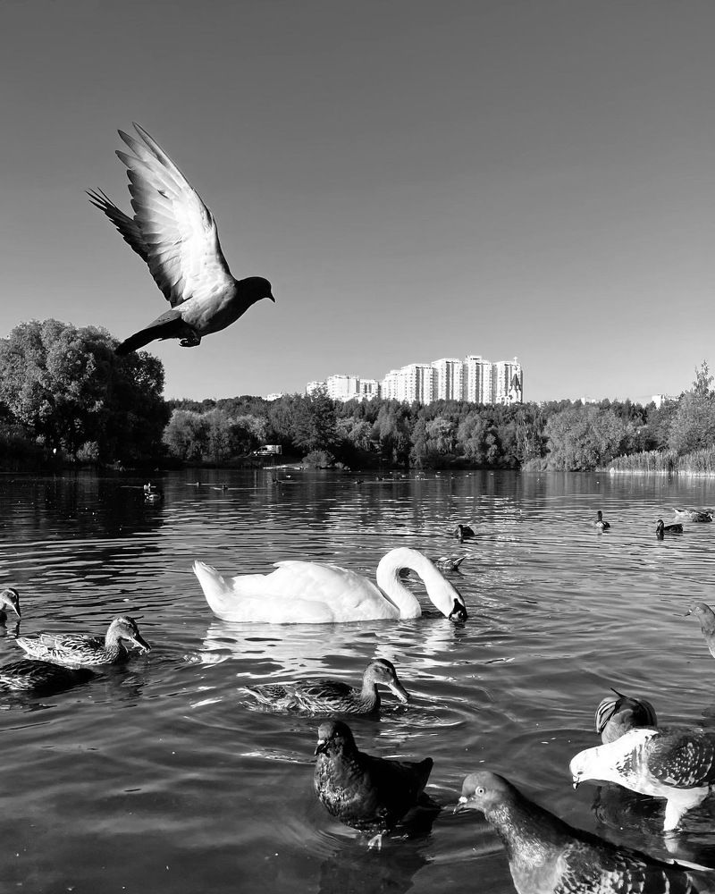 Photograph by Анастасия Каланакова