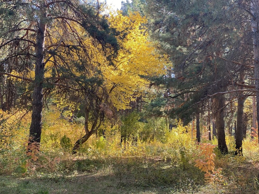 Photograph by Мария Вершинина