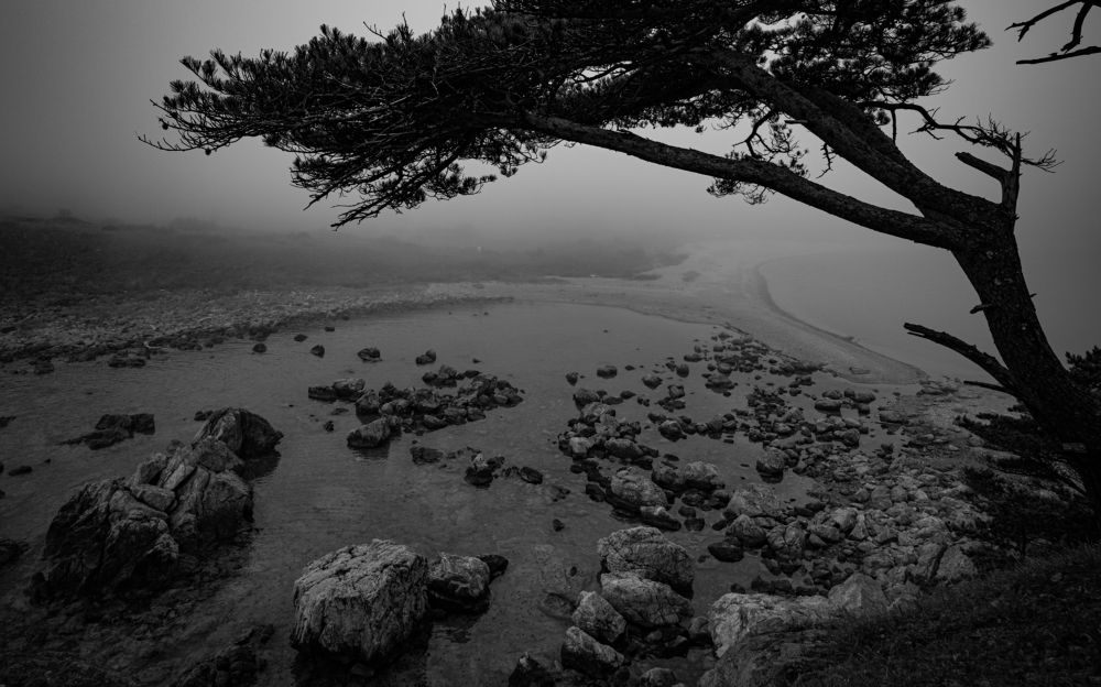 Photograph by Арсен Сулейманов