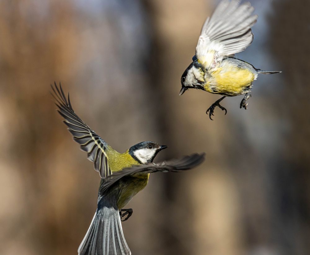 Photograph by Виктор Волынский