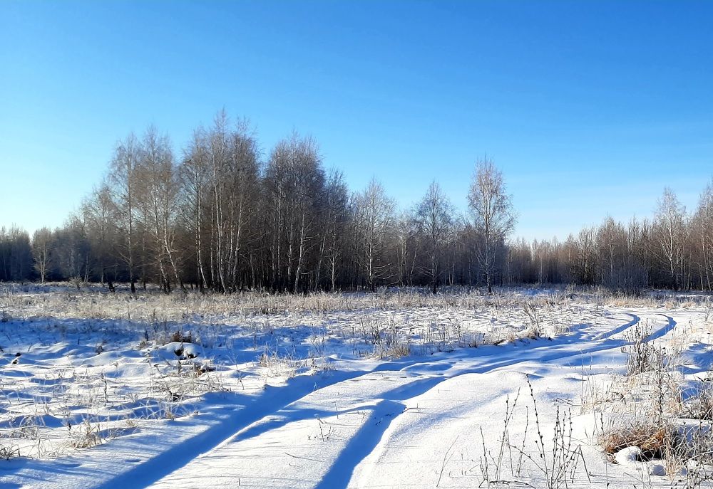 Photograph by Ирина Владимировна