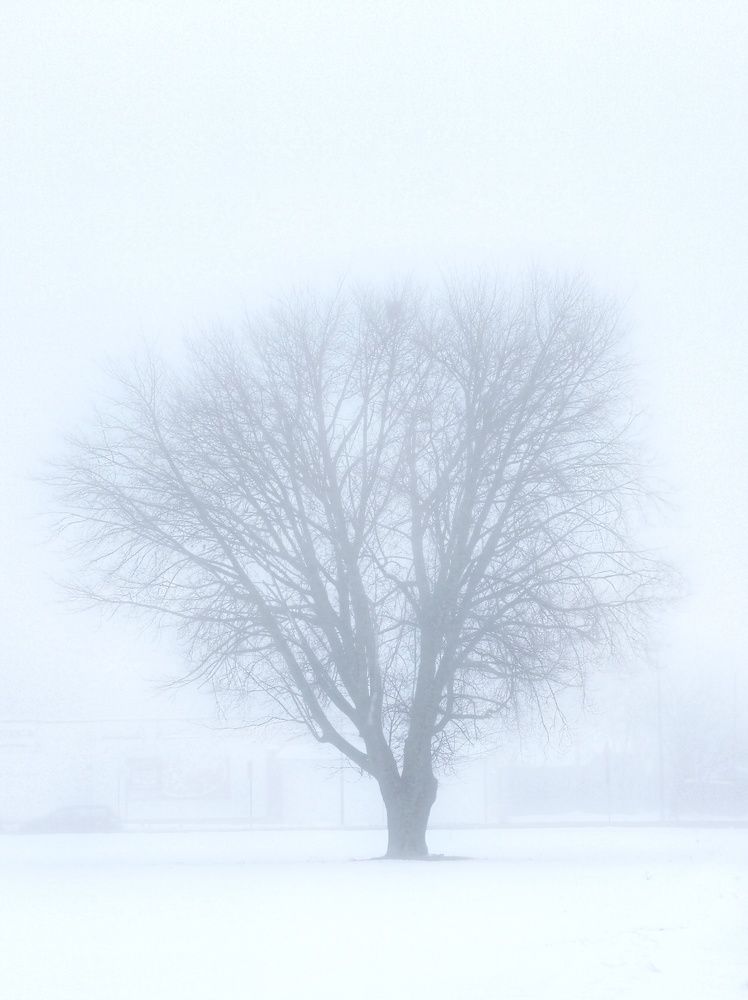 Photograph by Андрей Тур