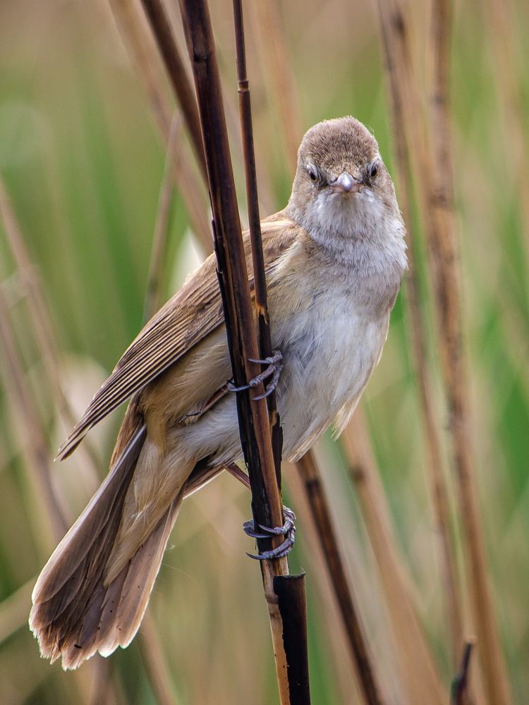 Photograph by Оксана Маховская