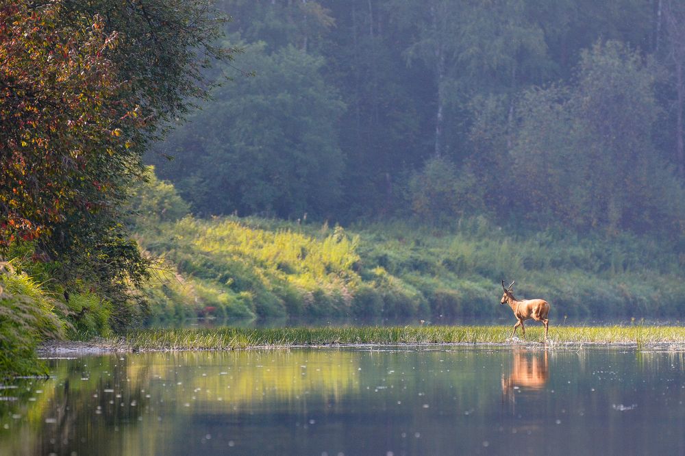 Photograph by Ольга Колосова
