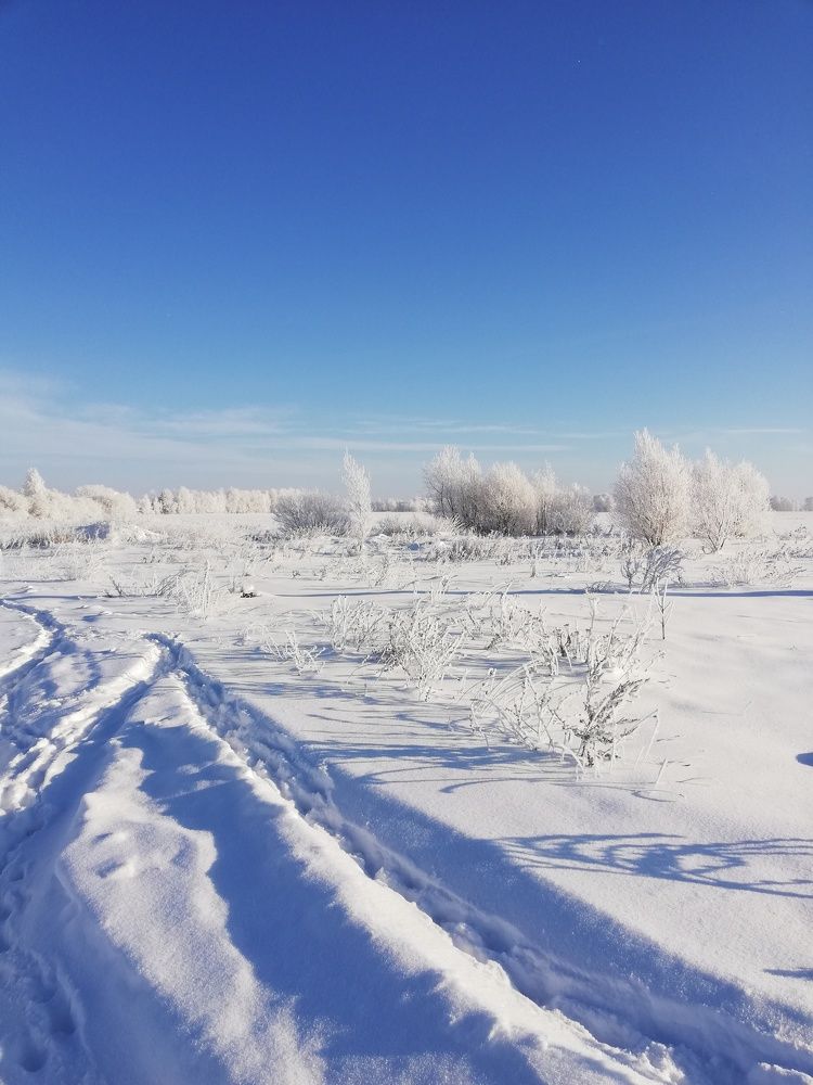 Photograph by Наталья S.