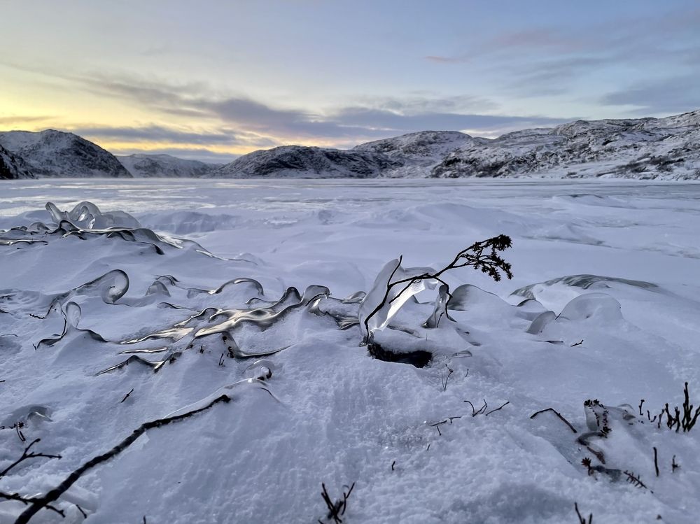 Photograph by Ольга Ильина