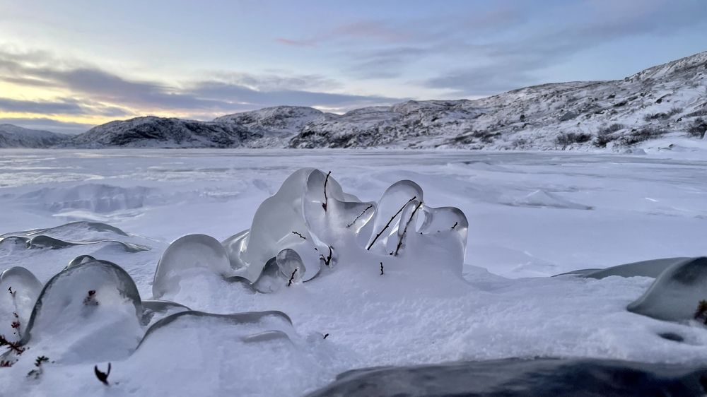 Photograph by Ольга Ильина