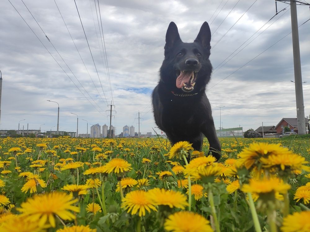 Photograph by Elvira Magsumova