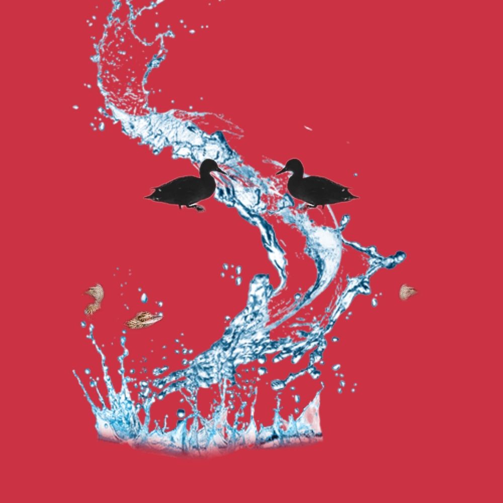 Photograph by Jaroslav Sameš