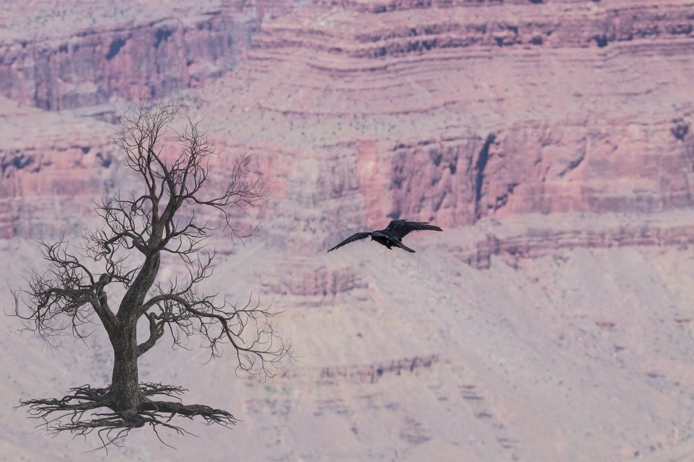 Photograph by Jaroslav Sameš