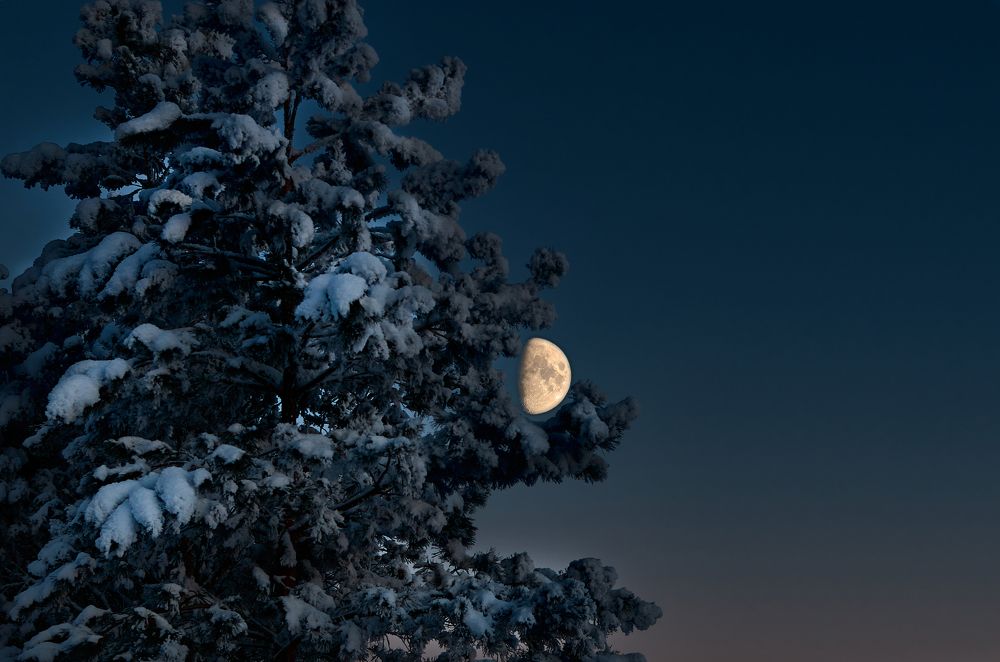 Почти по Чуковскому