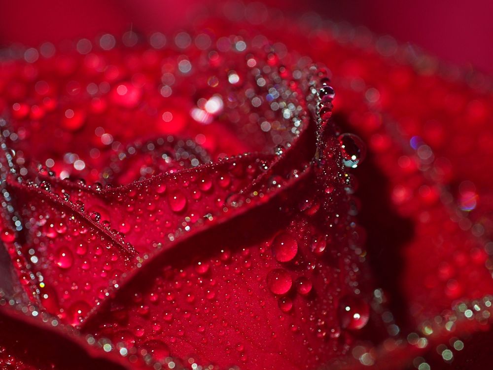 Photograph by Gotcha Biniashvili