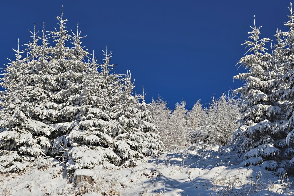 Photograph by Jozef Potocký