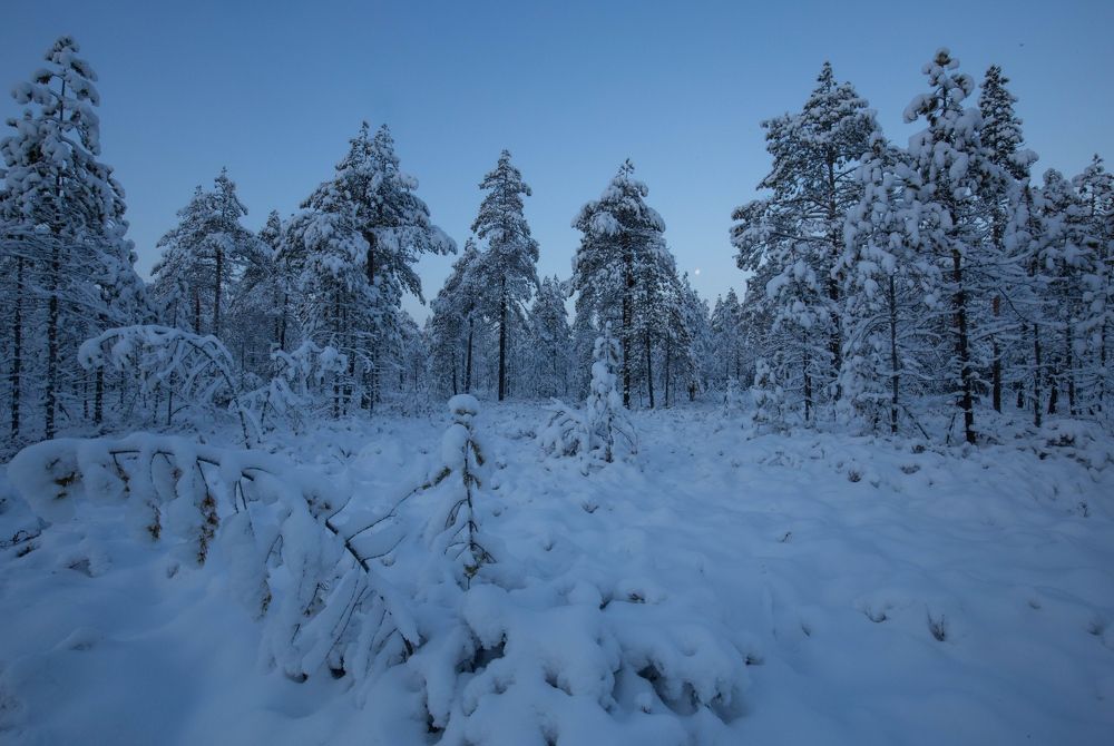 Photograph by Елена Хорохорина