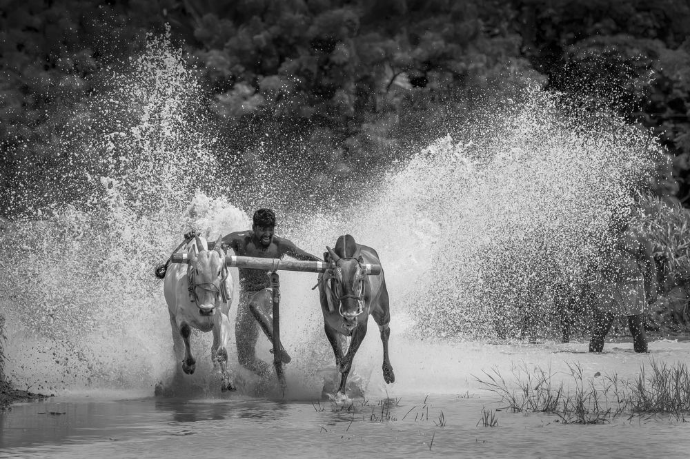 Photograph by k Ravi Reju