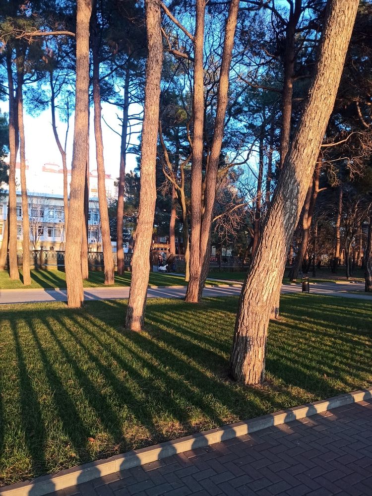 Photograph by Василиса Прекрасная