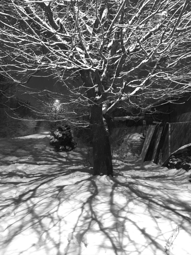 держаться корней