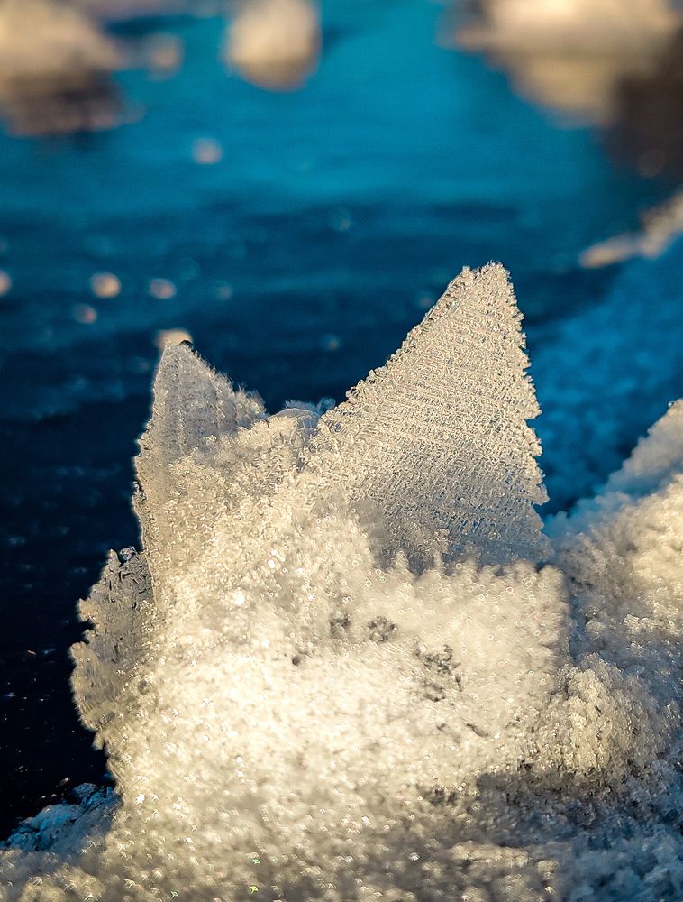 Photograph by Владимир Коновалов