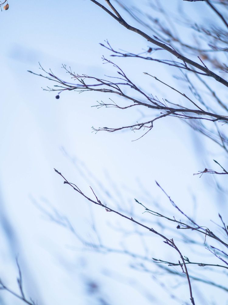 Photograph by Доляна Ашкова