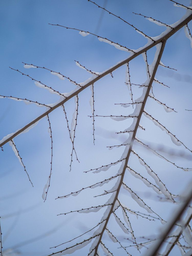 Photograph by Доляна Ашкова
