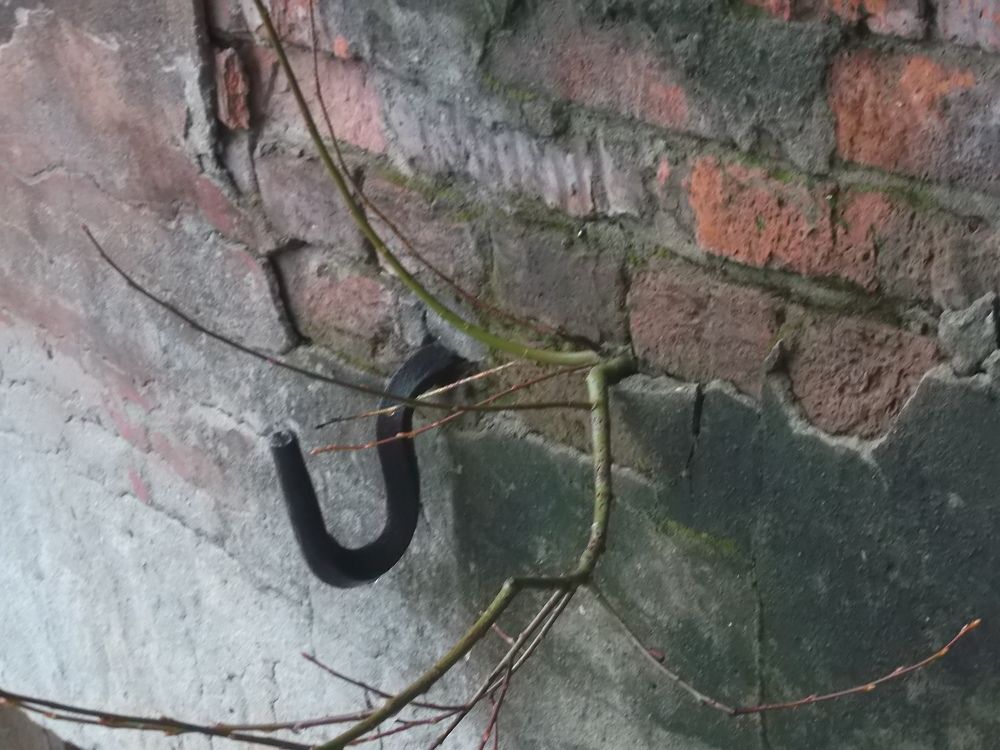 Photograph by Александр Александрович Жуков