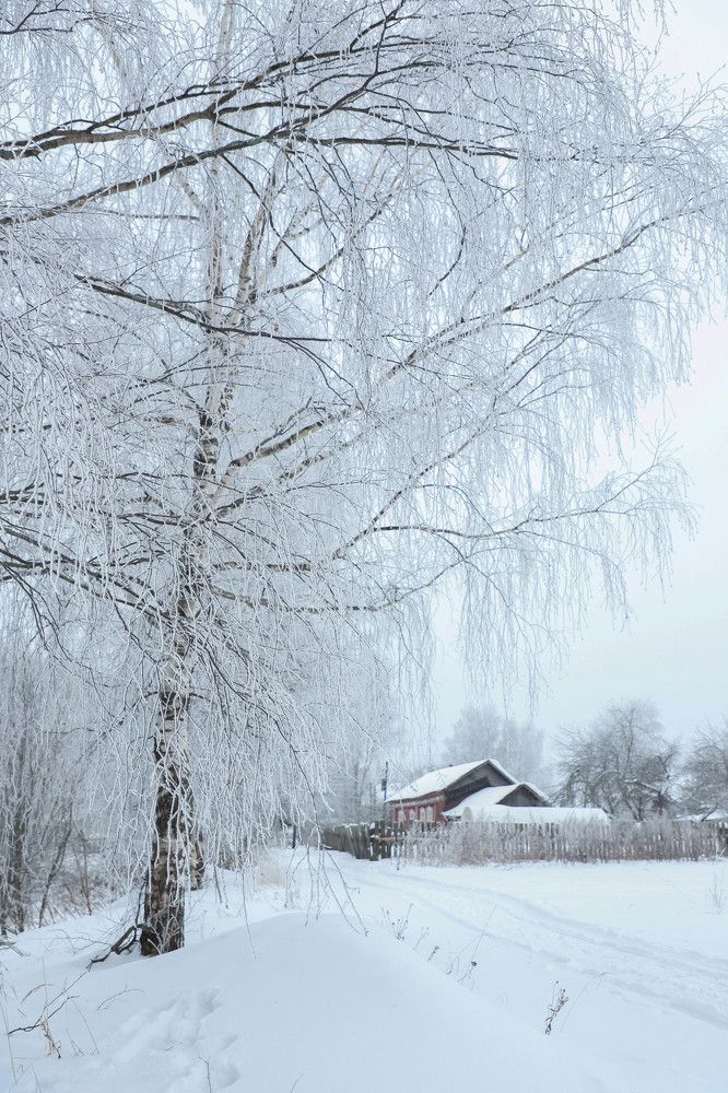 Photograph by Елена Сиднина